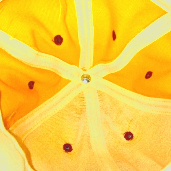 PRO-LINE Vintage Florida State Cap… - Picture 3 of 11